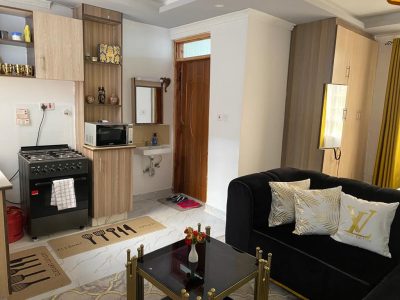 Studio AirBnB Apartment - California 2 Milimani Estate Nanyuki
